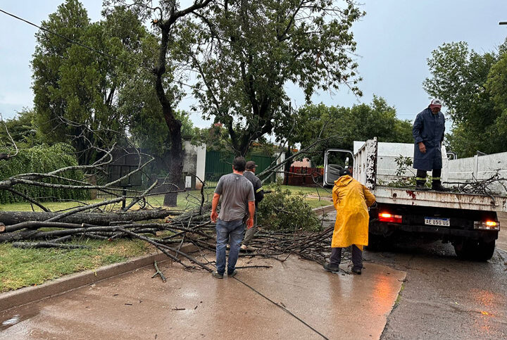 El temporal causó caída de ramas en Ameghino
