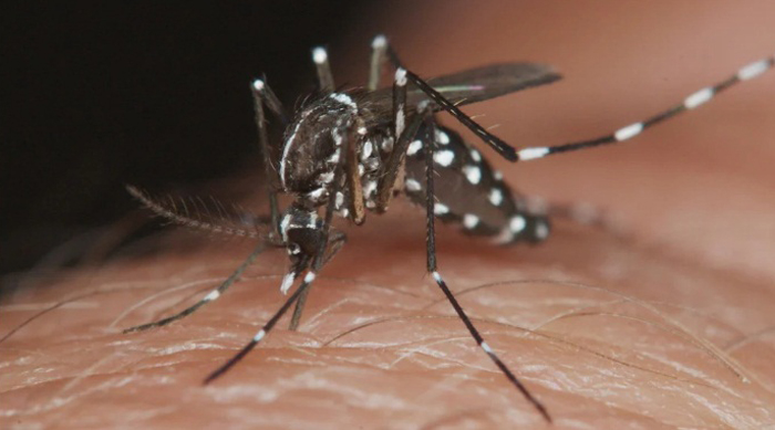 Alerta en la región: Lincoln entre los municipios declarados con “brote de dengue”