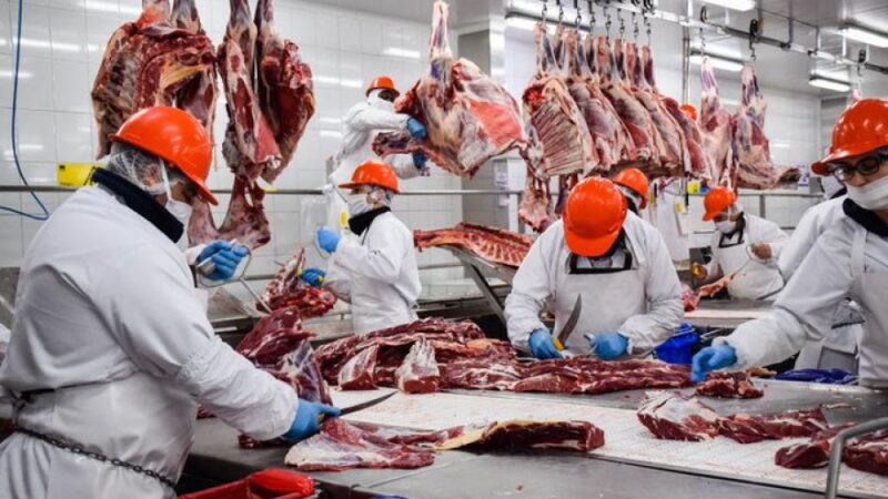 Salvo con China, se derrumbaron las ventas de carne al exterior