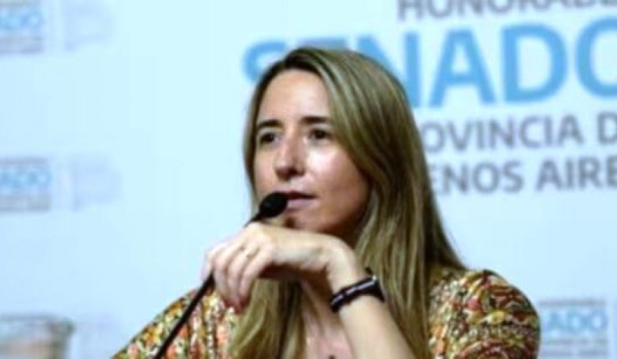 Piden el desafuero de la senadora bonaerense Flavia Delmonte