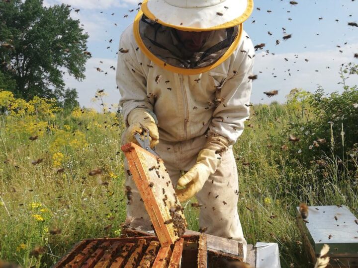 Fue conformada la nueva mesa de trabajo de apicultores locales