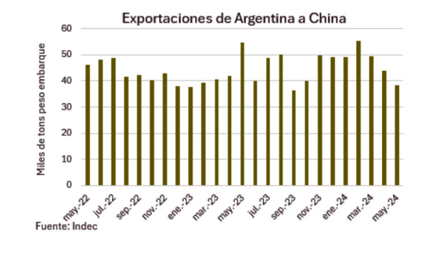 Por tercer mes consecutivo Mayo marcó un nuevo retroceso en exportaciones de carne