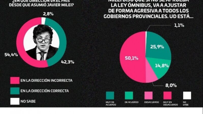 Según Zuban Córdoba, durante Junio Milei mostró un descenso de su popularidad