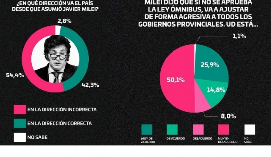 Según Zuban Córdoba, durante Junio Milei mostró un descenso de su popularidad