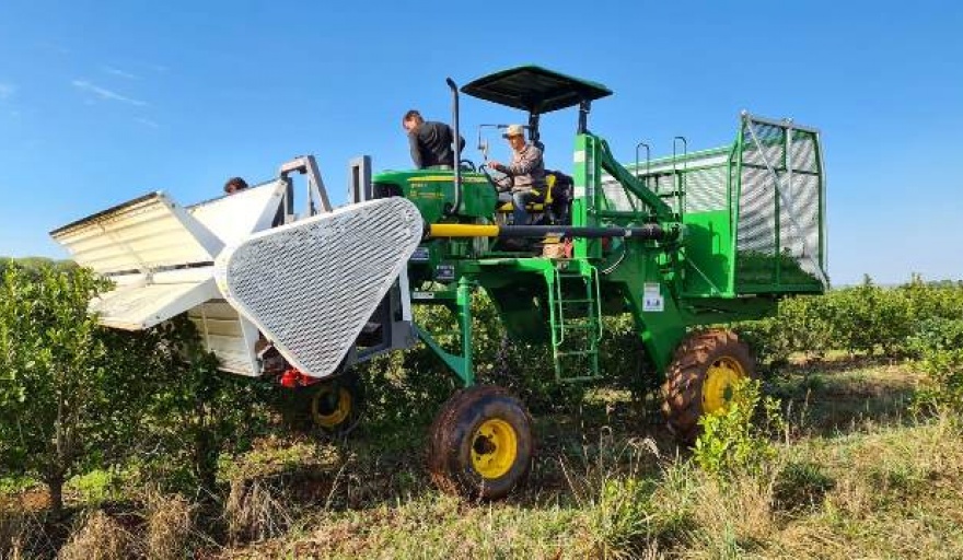 Aseguran que Milei: “tiene un total desconocimiento del sector agropecuario”