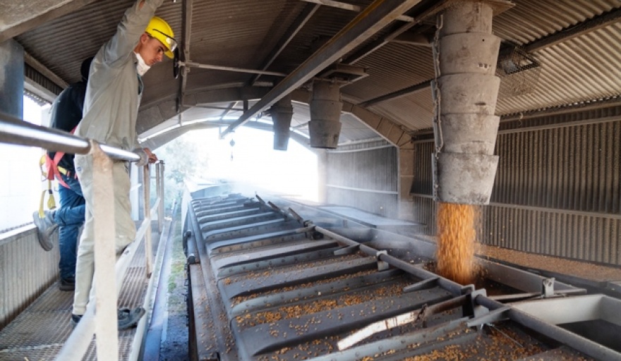 Compra y reparación de material rodante mediante acuerdos con cerealeras