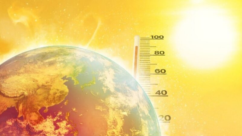 Divulgan el estudio más completo sobre la temperatura terrestre: ¿qué descubrió?