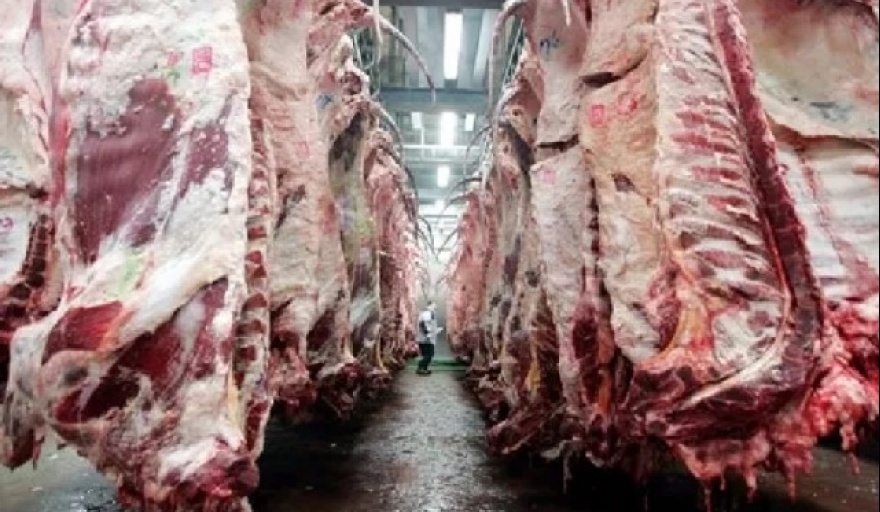 Crecimiento de las exportaciones argentinas de carnes durante agosto