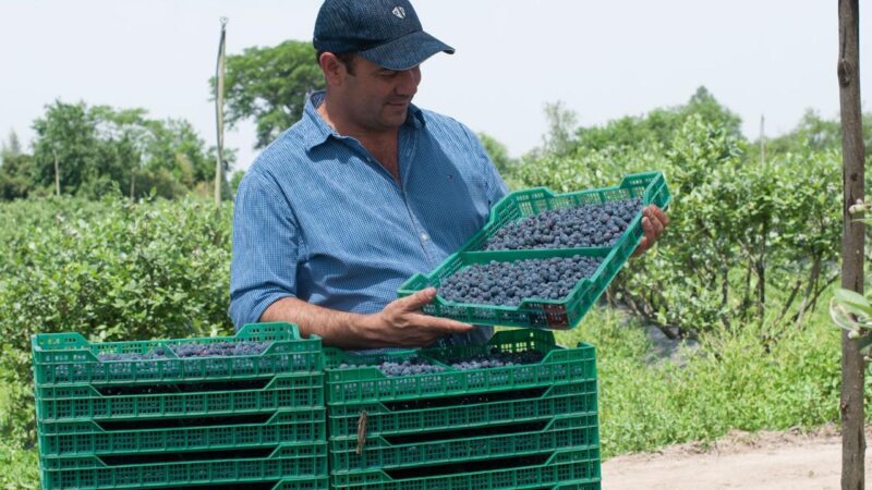 Los productores, protagonistas centrales de un campo limpio y sustentable