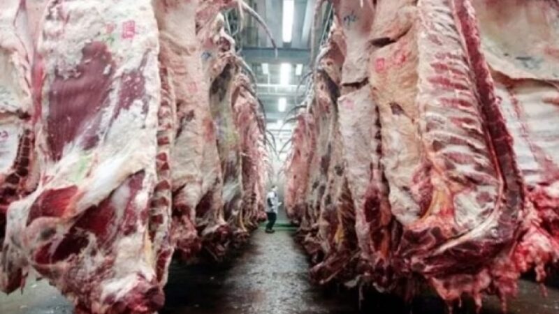 Las exportaciones de carne vacuna se encaminan a cerrar 2024 en niveles récord