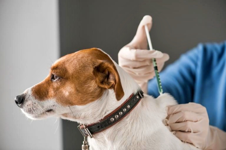 Comenzó la vacunación antirrábica de mascotas en todo el distrito