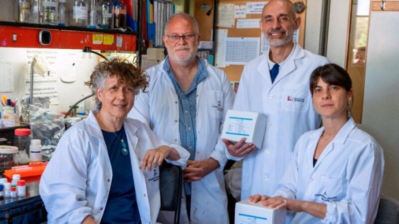 Desarrollan el primer test de antígenos nacional que diagnostica el dengue