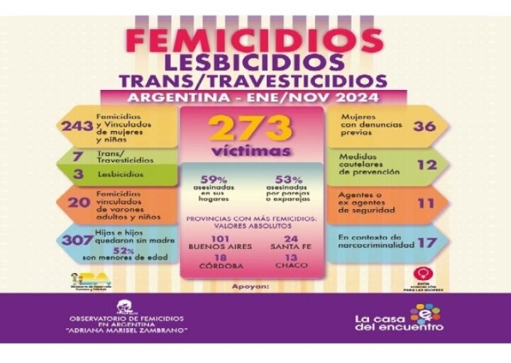 Femicidios en Argentina: 373 víctimas de violencia de género en lo que va de 2024