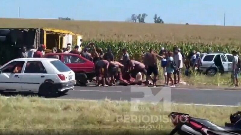 Saquean vacas de dos camiones jaula volcados y las faenan en el lugar