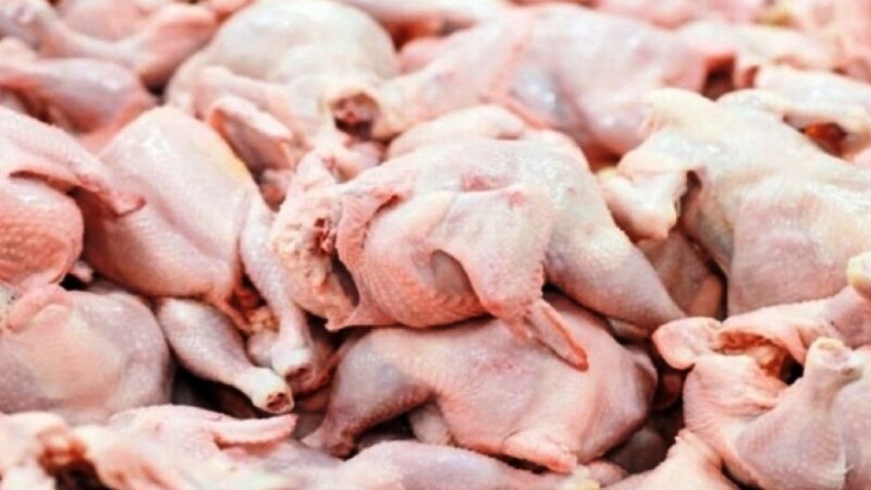 Después de dos años de prohibición, China reabre su mercado a los pollos argentinos