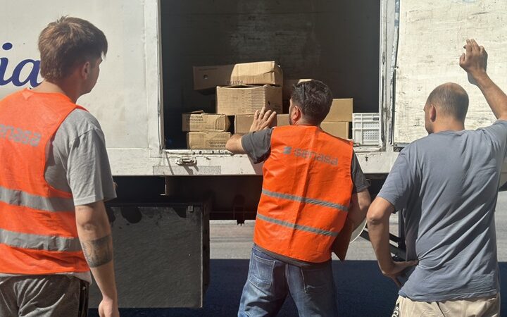 Se verificaron cerca de 10 mil vehículos de transporte en todo el territorio nacional