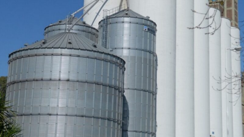 Eliminan el RUCA y unifican los registros de productores y operadores de granos en el SISA