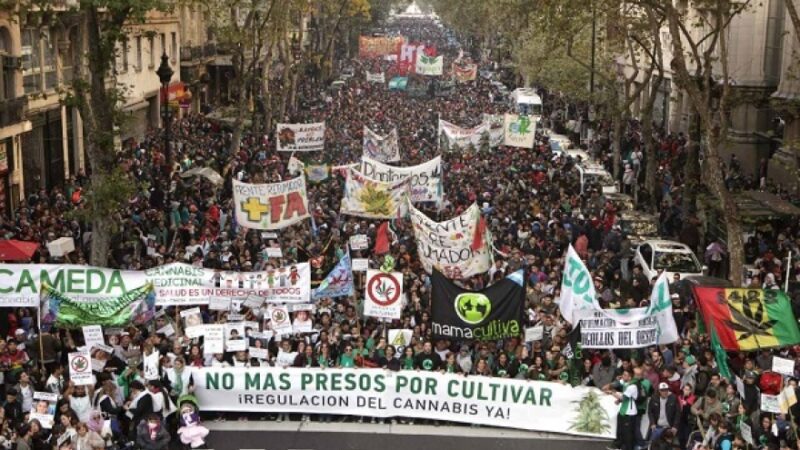 Marcha Mundial de la Marihuana 2025: la lucha por una nueva ley de drogas vuelve a las calles