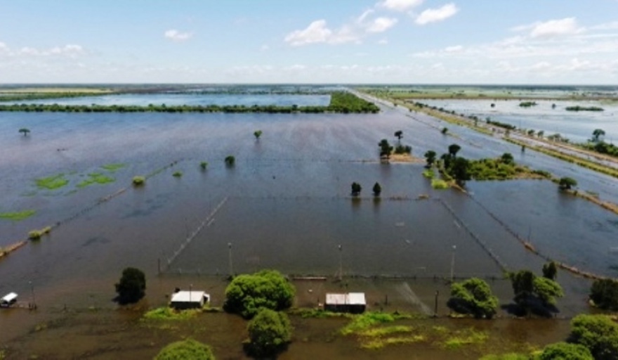 Doce municipios bonaerenses en emergencia agropecuaria por las fuertes lluvias