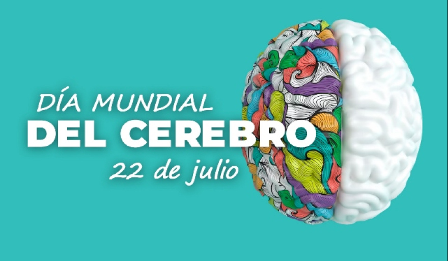 Accidente cerebrovascular y demencia: las afecciones que más dañan al cerebro