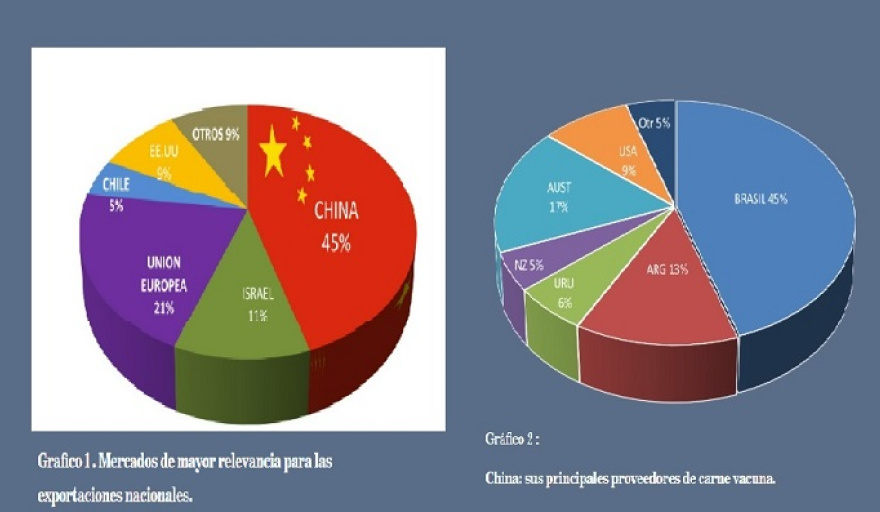 Caída en las exportaciones y en la producción: radiografía de la carne vacuna argentina