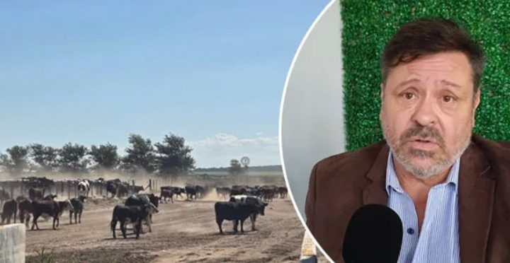 Pintenses fueron sobreseídos en una causa por estafa con ganado, iniciada en La Pampa